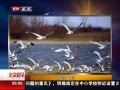硷 Ÿ