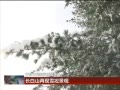  ɽѩ