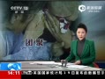 ֱ䡷 ɢ罫