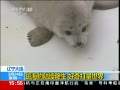 ֱ䡷 ߺ 