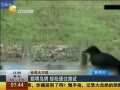 һʱ 20140402 ѻͨ
