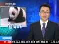 ֱ䡷 Բл̬СŮ