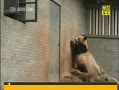30֡ ݶ԰èȦ׿й