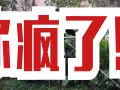 Ƶ Ǿִ