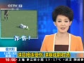 ֱ䡷 ԱϷճ