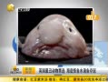 ˵¡ ӢƱѡ ׹ˮ