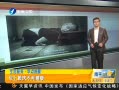 簲 