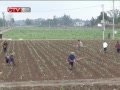 CQTVš 3·۸µ ߲˼۸񱣳ָλ