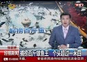 Ƶϲٽ 罷ͷ