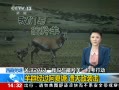 ֱ䡷 Ǽ ע2013ƿж Ⱥ Ϯ