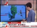 ӽ硷 裿ͶƷ