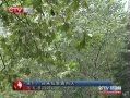 CQTVš ӭ