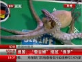 ߷塷 Ԥ籭¹׼ȽӰౣ