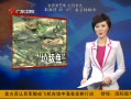 㶫糿 غгٷ