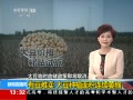 ֱ䡷 ж ֲή