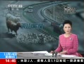 ֱ䡷 ½磺ת