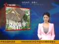 㶫糿 ڿ