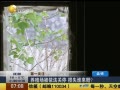 һʱ 20140507 ֳͣ ʧ˭⣿