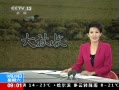 ֱ䡷 Ķ1000