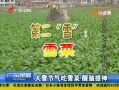 㶫糿 ѩѩ 