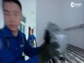 ƵСս죡̭