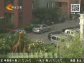 񳯡 ߵ飺Сͣλշѵ˭˵