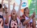 Ƶ-NFLͻ 5ɱ뼾