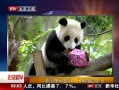 硷 ʥǸ磺è