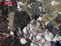 飡ʵѻӼ