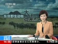 ֱ䡷 ҰǨ 16Ƴ׳ֱرĿ