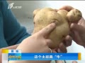 籨 ǣţ