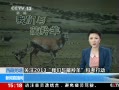 ֱ䡷 ע2013ƿж Ƶɫѩɽˮ