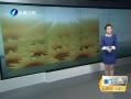 簲 ҲǼ