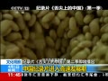 ֱ䡷 ϵйڶ