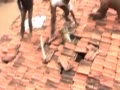 Youtube-Shocking! Leopard runs wild chasing reside
