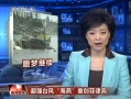 š ǿ̨纣شɱ