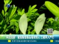 򳿲 豻ָͶƷЧ ѱϴ