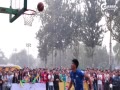 Ƶ-3V3վ +糵