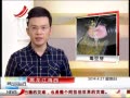 ӽ硷 ѿӷ