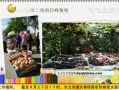 һʱ 20130930 