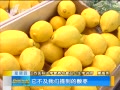 籨 ʰΰٲ