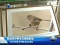 š ؾٰҰӰչ
