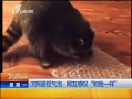 7š ܰ Ѹ̾һ