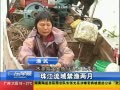 㶫糿 齭