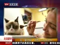 硷 èڻǩ