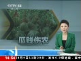 ֱ䡷 Ĳ гȻ о