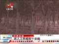 ӽ硷 ֲʮ