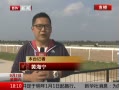 ߷塷 ȫ˻᣺