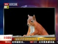 硷 Ӱʦץ̰Ժ ʳ