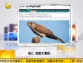 һʱ 20130729  ޹